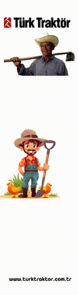 160×600 – Sol Kayan